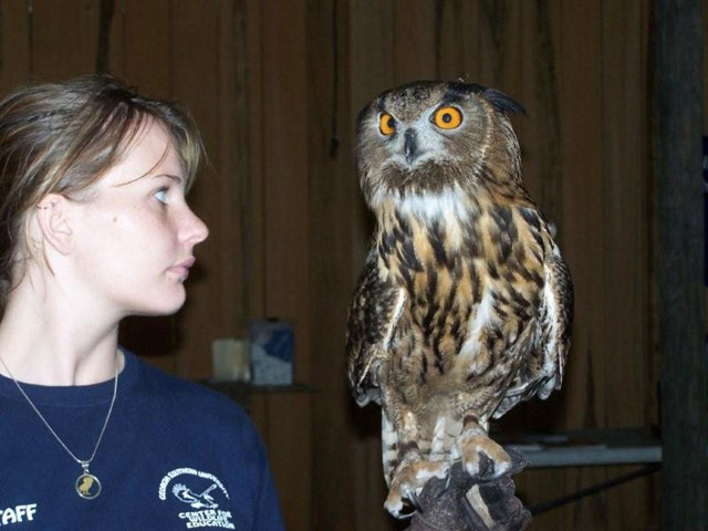 supersaturdayowl5-6-09